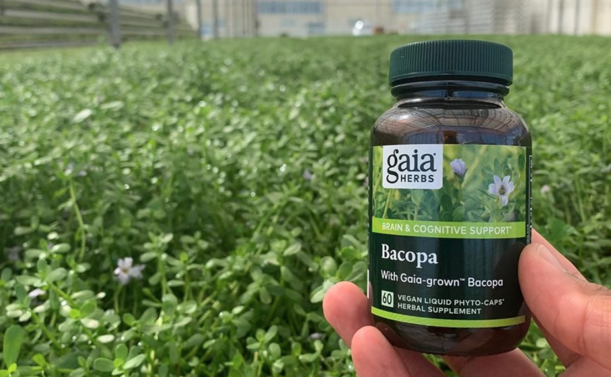 Gaia Herbs Bacopa 60 Vegan Liquid Phyto-Caps